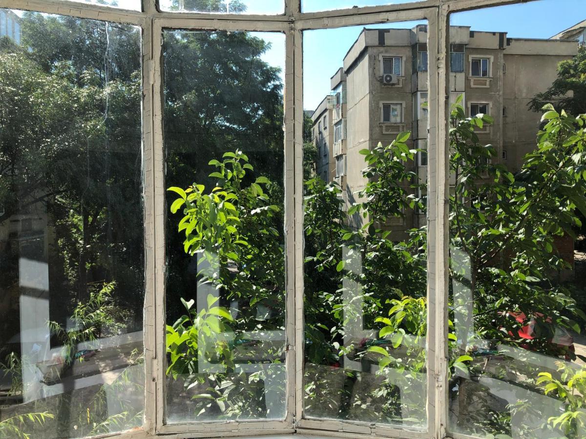 Le Garcon De Cristina-Simple,Quiet,Spacious Studio Bucharest Exterior photo